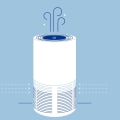 Do Air Purifiers Make You Healthier? - An Expert's Perspective