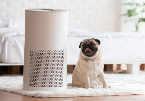 Does an Air Purifier Make a Noticeable Difference?